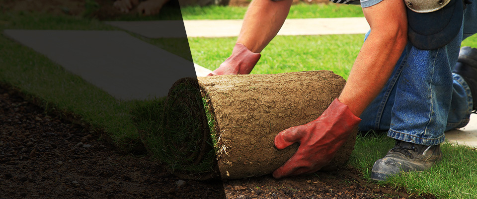 Waterbury Landscapers